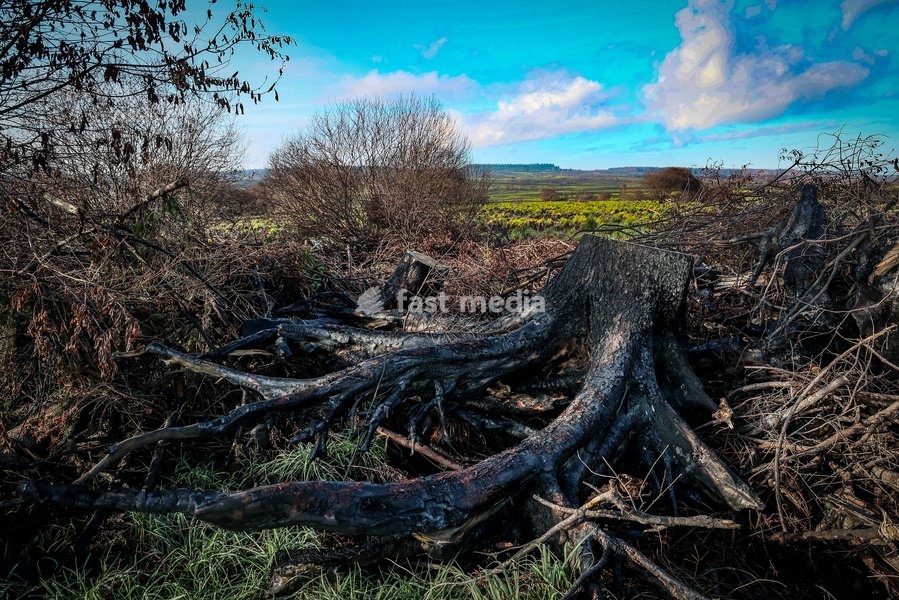 This image shows a field visit organized for the kick-off of the Hautes-Fagnes (High Fens) restoration works, on Friday 16 October 2026 in Spa. The fire started on August 14th and 3366 hectares (on a total of 4500) were impacted, a perimeter of 27 km