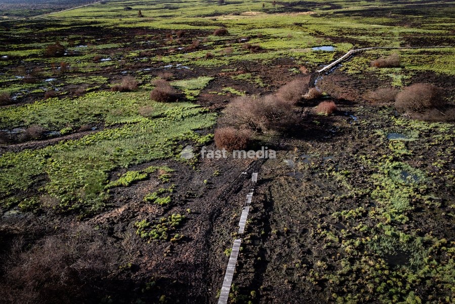 This image shows a field visit organized for the kick-off of the Hautes-Fagnes (High Fens) restoration works, on Friday 16 October 2026 in Spa. The fire started on August 14th and 3366 hectares (on a total of 4500) were impacted, a perimeter of 27 km
