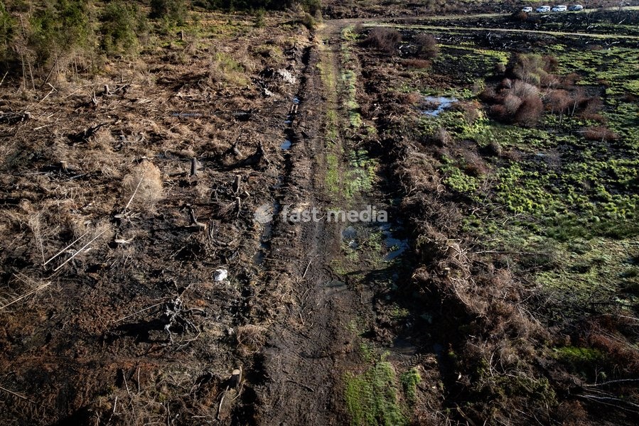 This image shows a field visit organized for the kick-off of the Hautes-Fagnes (High Fens) restoration works, on Friday 16 October 2026 in Spa. The fire started on August 14th and 3366 hectares (on a total of 4500) were impacted, a perimeter of 27 km