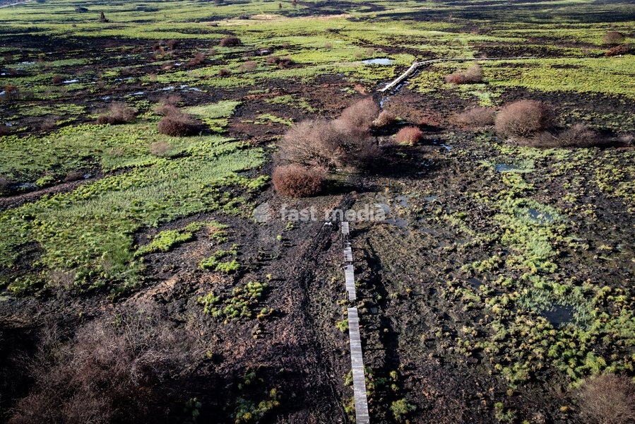 This image shows a field visit organized for the kick-off of the Hautes-Fagnes (High Fens) restoration works, on Friday 16 October 2026 in Spa. The fire started on August 14th and 3366 hectares (on a total of 4500) were impacted, a perimeter of 27 km