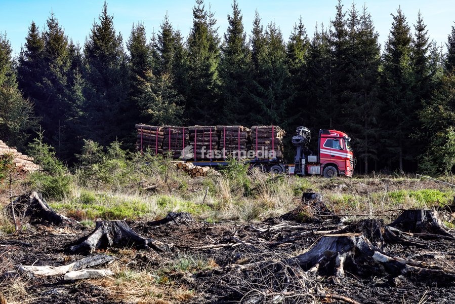 This image shows a field visit organized for the kick-off of the Hautes-Fagnes (High Fens) restoration works, on Friday 16 October 2026 in Spa. The fire started on August 14th and 3366 hectares (on a total of 4500) were impacted, a perimeter of 27 km