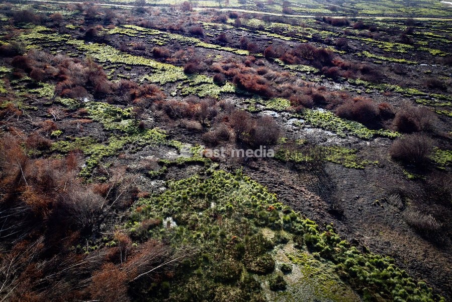 This image shows a field visit organized for the kick-off of the Hautes-Fagnes (High Fens) restoration works, on Friday 16 October 2026 in Spa. The fire started on August 14th and 3366 hectares (on a total of 4500) were impacted, a perimeter of 27 km