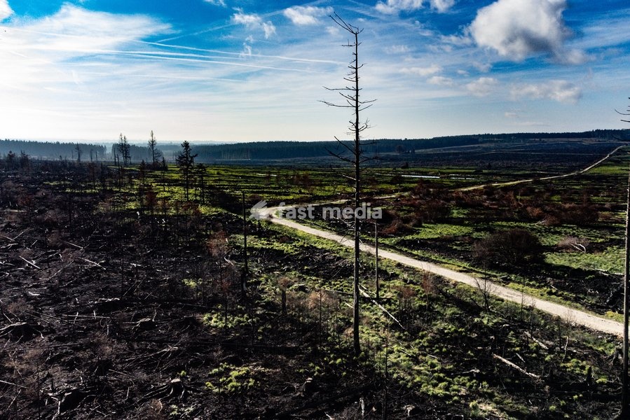This image shows a field visit organized for the kick-off of the Hautes-Fagnes (High Fens) restoration works, on Friday 16 October 2026 in Spa. The fire started on August 14th and 3366 hectares (on a total of 4500) were impacted, a perimeter of 27 km