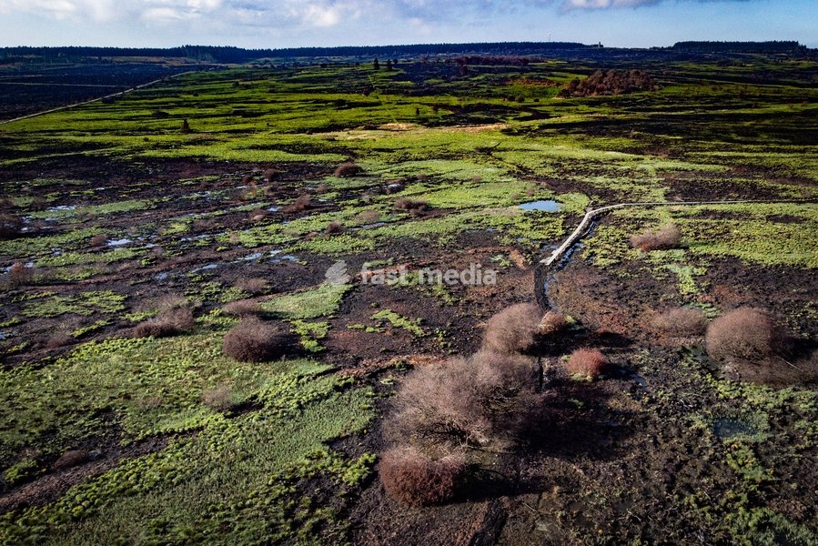 This image shows a field visit organized for the kick-off of the Hautes-Fagnes (High Fens) restoration works, on Friday 16 October 2026 in Spa. The fire started on August 14th and 3366 hectares (on a total of 4500) were impacted, a perimeter of 27 km