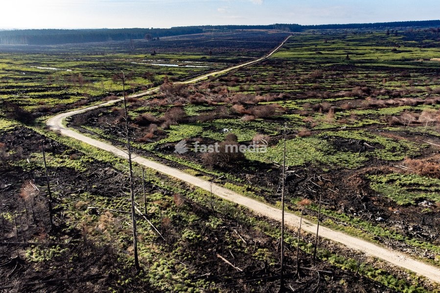This image shows a field visit organized for the kick-off of the Hautes-Fagnes (High Fens) restoration works, on Friday 16 October 2026 in Spa. The fire started on August 14th and 3366 hectares (on a total of 4500) were impacted, a perimeter of 27 km