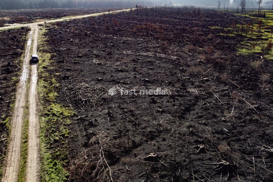 This image shows a field visit organized for the kick-off of the Hautes-Fagnes (High Fens) restoration works, on Friday 16 October 2026 in Spa. The fire started on August 14th and 3366 hectares (on a total of 4500) were impacted, a perimeter of 27 km