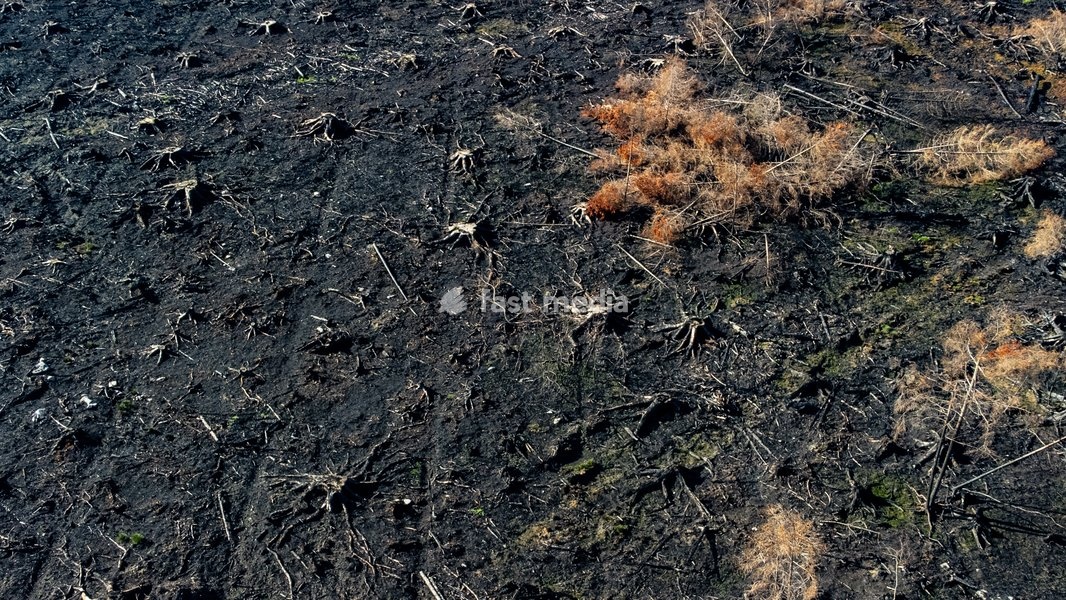 DISASTER FIRE HAUTES FAGNES START RECONSTRUCTION