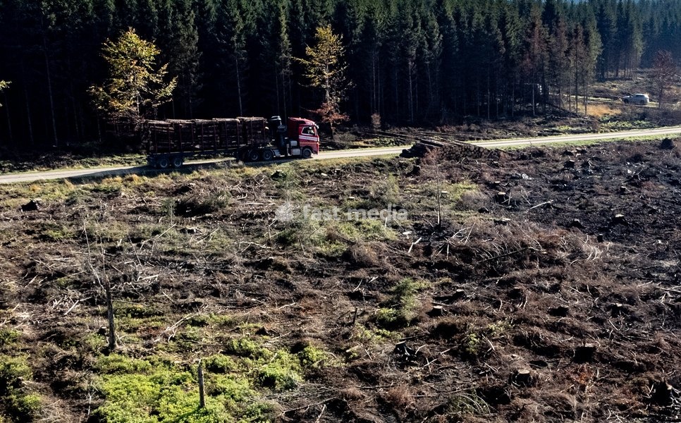 This image shows a field visit organized for the kick-off of the Hautes-Fagnes (High Fens) restoration works, on Friday 16 October 2026 in Spa. The fire started on August 14th and 3366 hectares (on a total of 4500) were impacted, a perimeter of 27 km