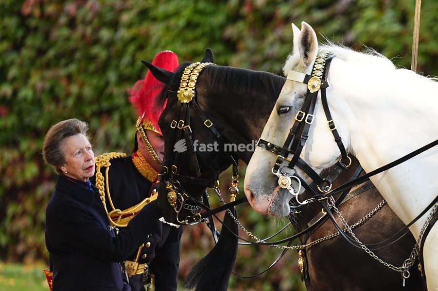 The Princess Royal, Senior Colonel of the Foot Guards, attending the Household Cavalry's centenary dedication of the Guards Memorial, at Horse Guards Parade, central London. Picture date: Friday October 16, 2026