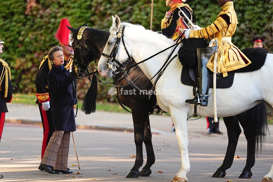 The Princess Royal, Senior Colonel of the Foot Guards, attending the Household Cavalry's centenary dedication of the Guards Memorial, at Horse Guards Parade, central London. Picture date: Friday October 16, 2026