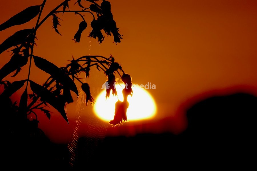 The days sun rises on a chilly morning in the countryside