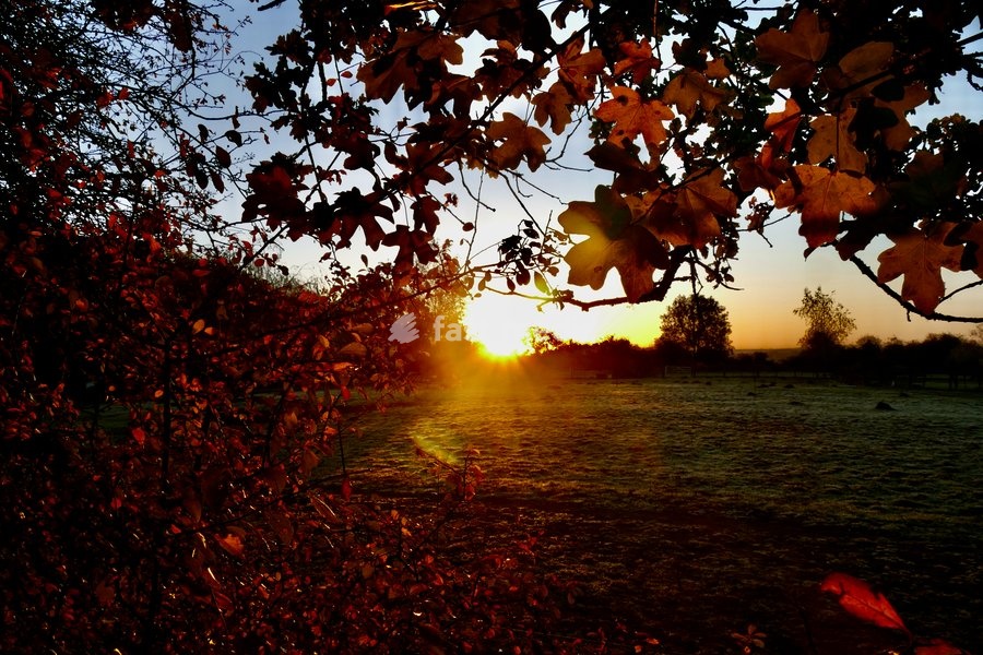 The days sun rises on a chilly morning in the countryside