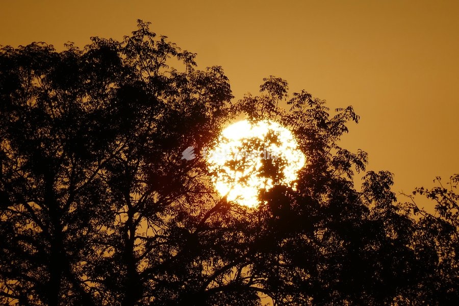 Seasonal weather, sunrise