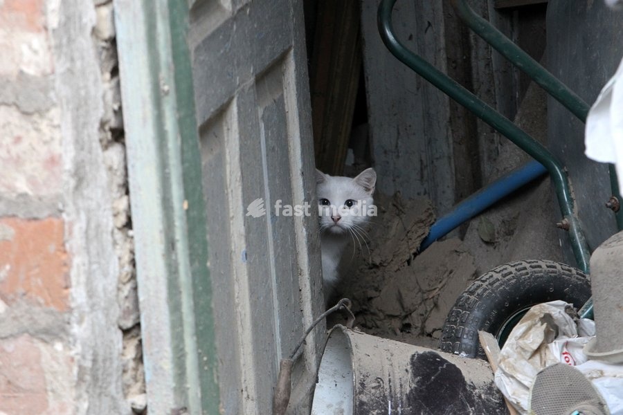 A white cat peeks out from behind a door in a building damaged by a Russian bombardment in Dnipro, Ukraine, October 19, 2026. On Monday morning, Russian forces launched guided aerial bombs at the eastern city, damaging private homes and infrastructure. An 84-year-old woman was hospitalised in…