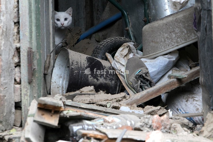 A white cat peeks out from behind a door in a building damaged by a Russian bombardment in Dnipro, Ukraine, October 19, 2026. On Monday morning, Russian forces launched guided aerial bombs at the eastern city, damaging private homes and infrastructure. An 84-year-old woman was hospitalised in…