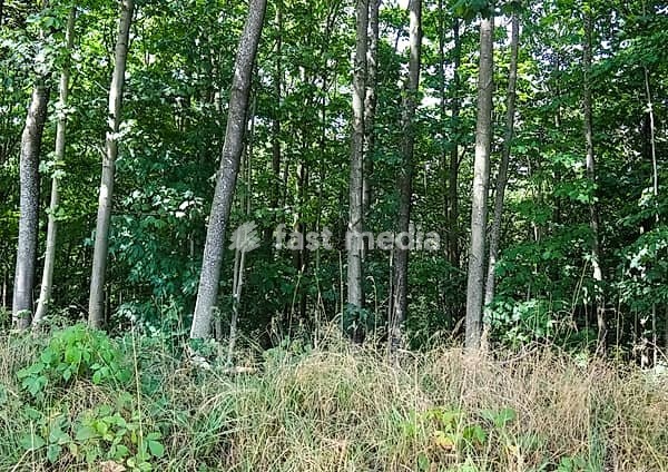 Image 1144943586