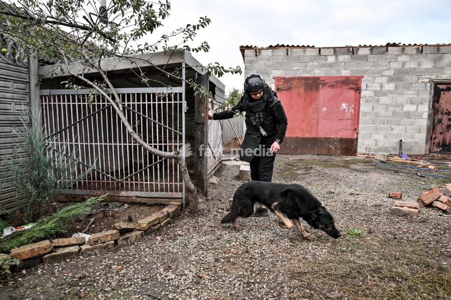 A volunteer in protective gear releases a dog left behind by its owners in a locked enclosure at an abandoned house in the front-line settlement of Komyshuvakha, Zaporizhzhia region, Ukraine, October 19, 2026