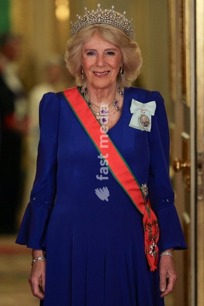 Britain's Queen Camilla poses for a photograph before a State Banquet at Windsor Castle during the Sultan's state visit to Britain, in Windsor, Britain, October 20, 2026. REUTERS/Isabel