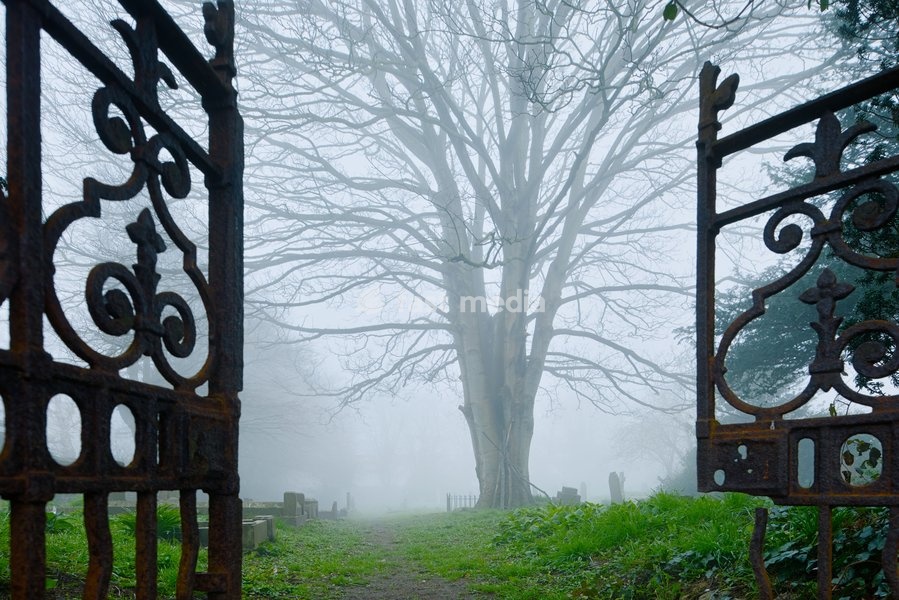 Foggy spring morning in Southwick, West Sussex