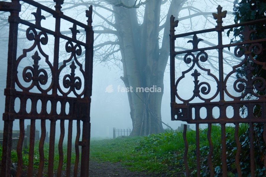 Cemetery gate