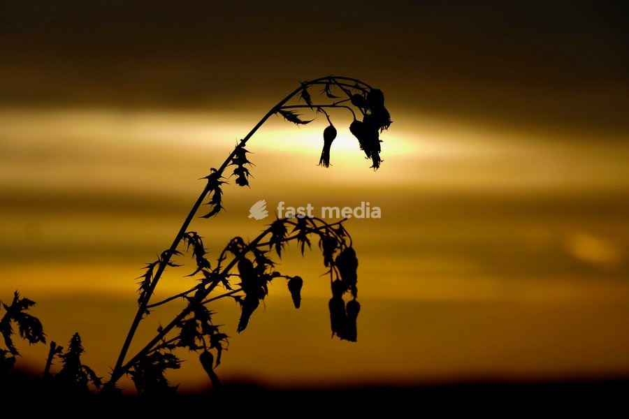 Seasonal weather, sunrise