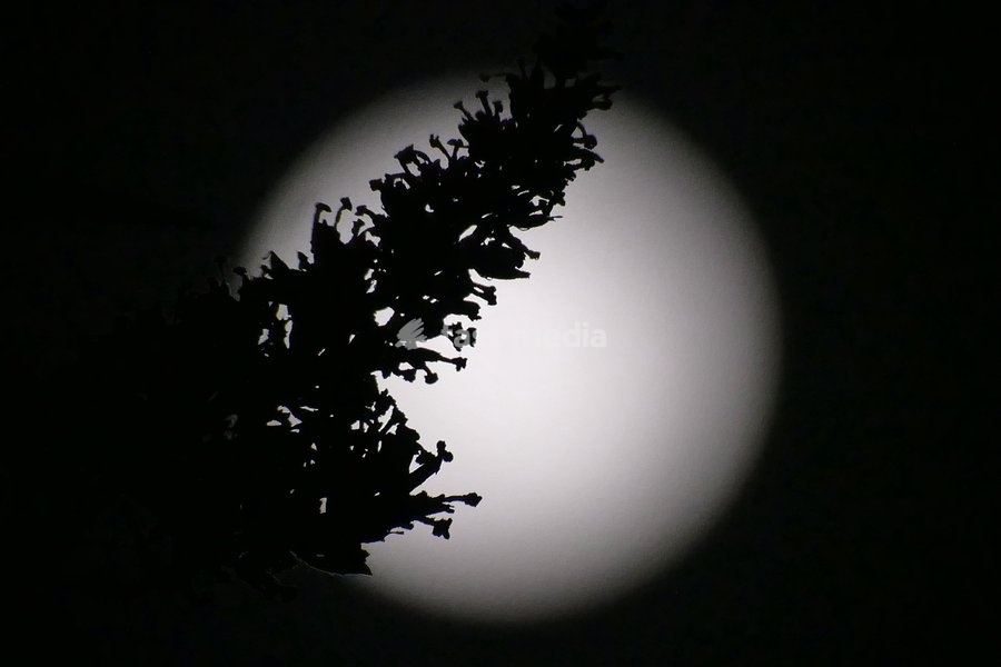 The waxing gibbous moon visible at 98.6% in the early morning sky. This intermediate Moon phase starts after the First Quarter Moon and lasts until the Full Moon. The full will be a full Hunter’s Moon on October 26th