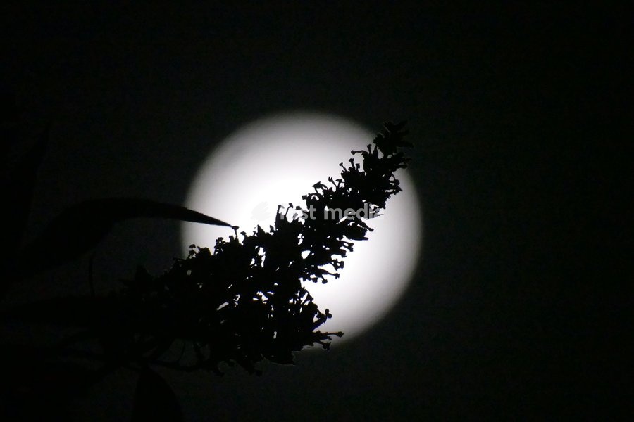 Waxing Gibbous Moon