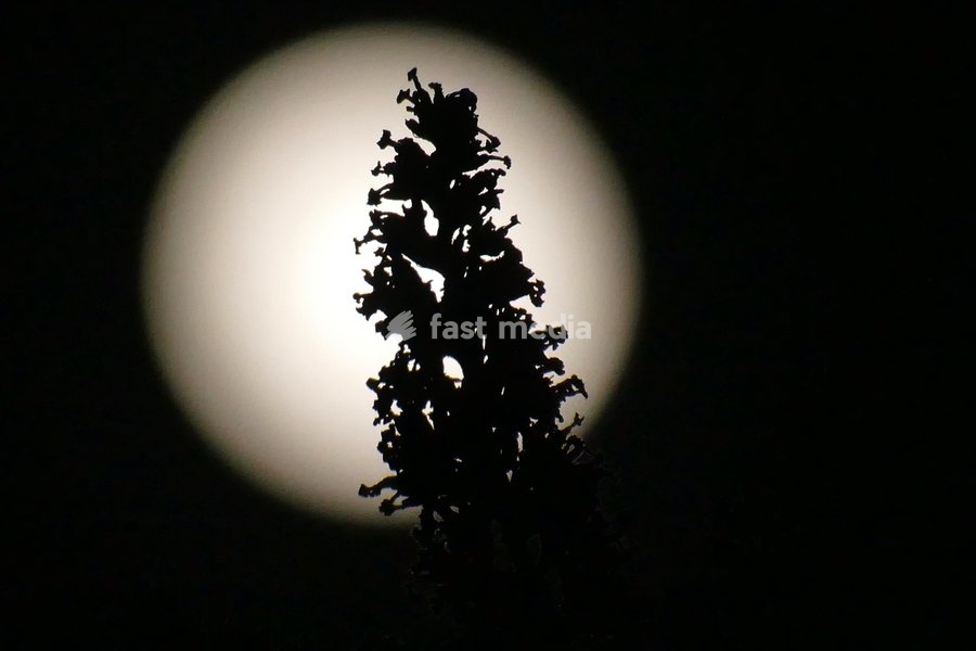 Full Hunters Moon