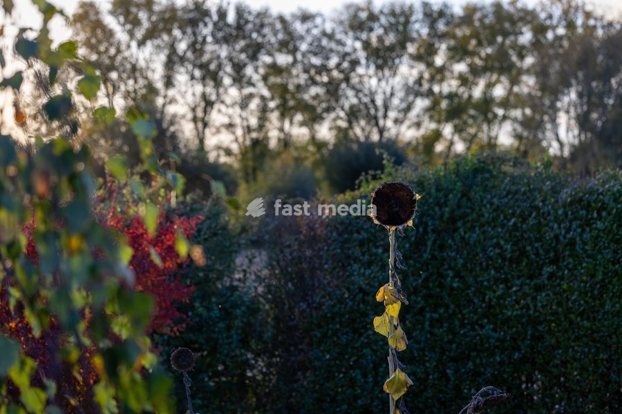 %items Fall photos with the setting sun, on Sunday 25 October 2026. This Sunday, Belgium switch to standard time