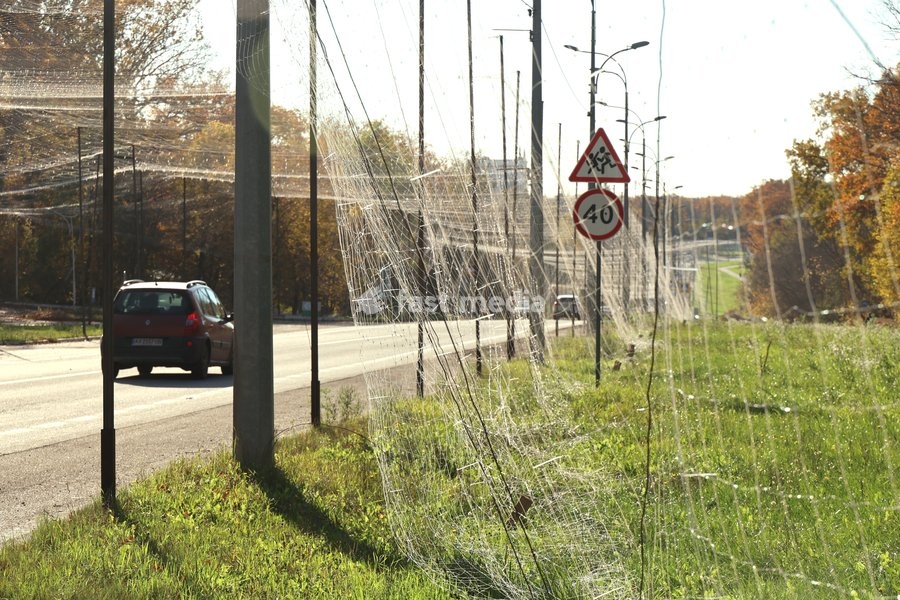 A car drives along a road covered with an anti-drone net, Kharkiv, Ukraine, October 24, 2026. Anti-drone nets are being installed to protect civilians and vehicles from Russian UAV strikes