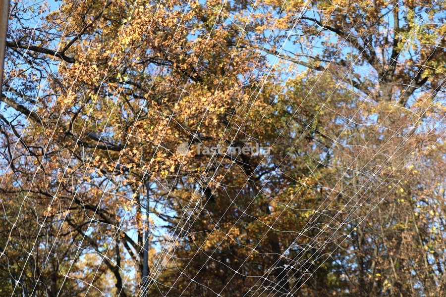 An anti-drone net covering a road stands out against a yellow tree in autumn, Kharkiv, Ukraine, October 24, 2026. Anti-drone nets are being installed to protect civilians and vehicles from Russian UAV strikes