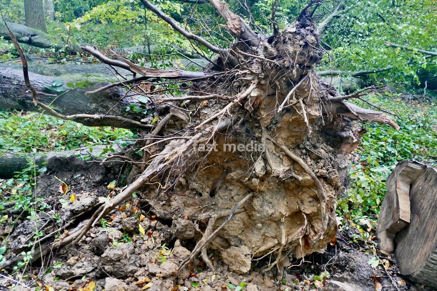 Daily life, storm damage
