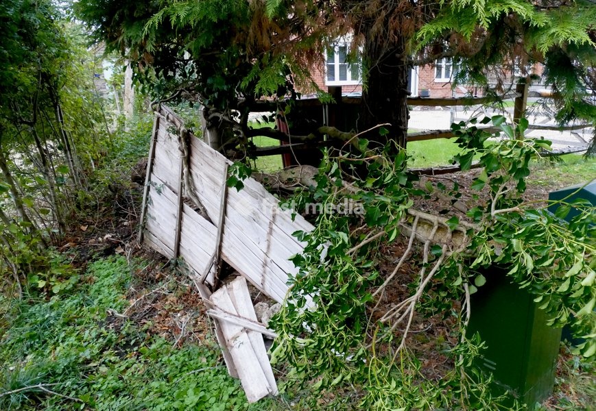 A tree falls through a fence after the storms