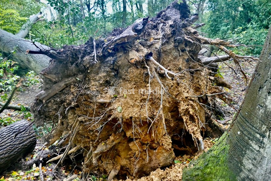 Daily life, storm damage