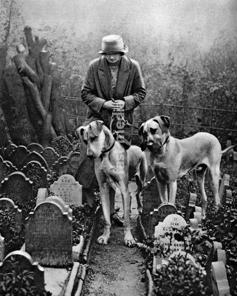 Dog cemetery, Victoria Gate, Bayswater, London, 1926-1927. A print from Wonderful London, edited by Arthur St John Adcock, Volume I, Amalgamated Press, London, 1926-1927