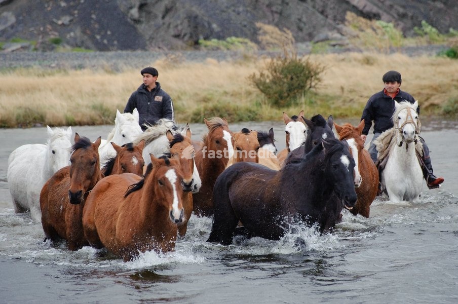 Horses and gauchos crossing river; Patagonia, Chile