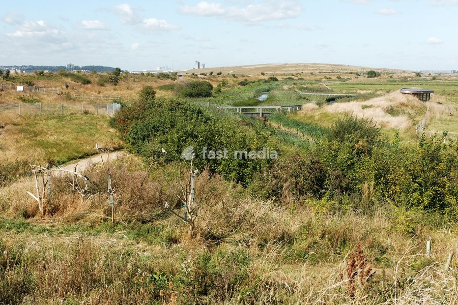 Rainham Marshes RSPB Reserve, Essex, September 2012