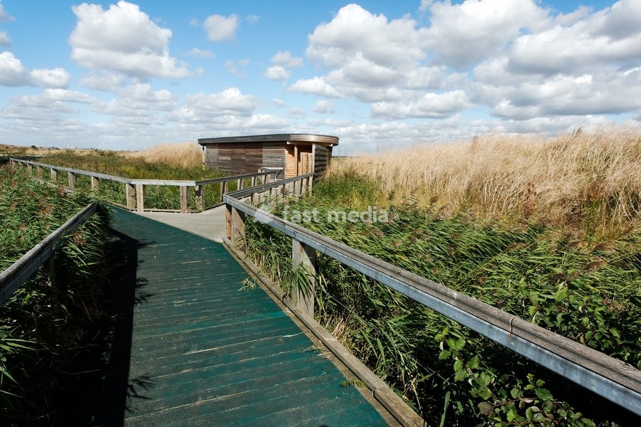 Rainham Marshes RSPB Reserve, Essex, September 2012