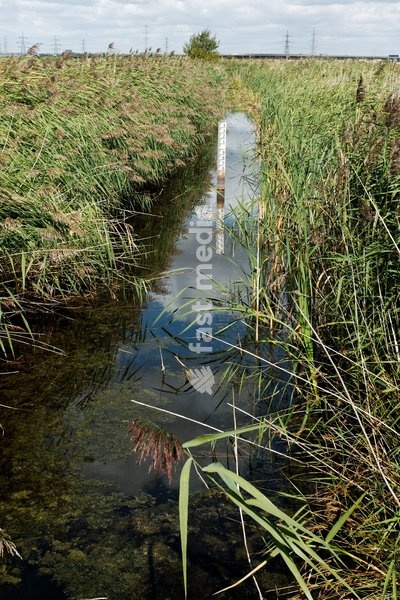 Rainham Marshes RSPB Reserve, Essex, September 2012