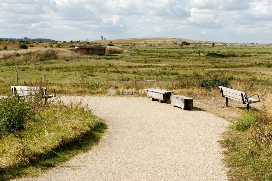Rainham Marshes RSPB Reserve, Essex, September 2012