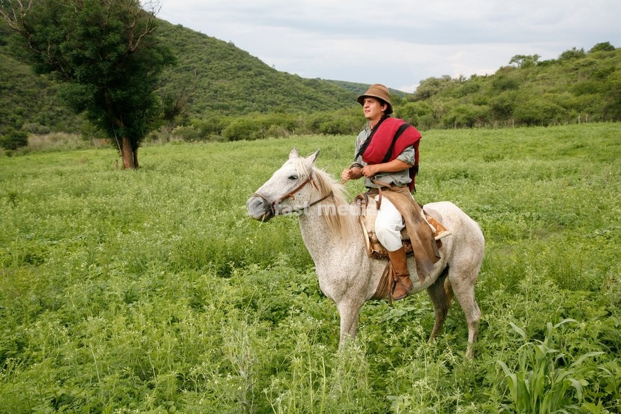 Gaucho riding a horse at an estancia near Guemes, Salta Province, Argentina, South America