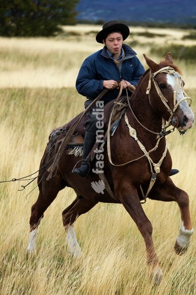 Gaucho riding his horse ,Patagonia, Chile