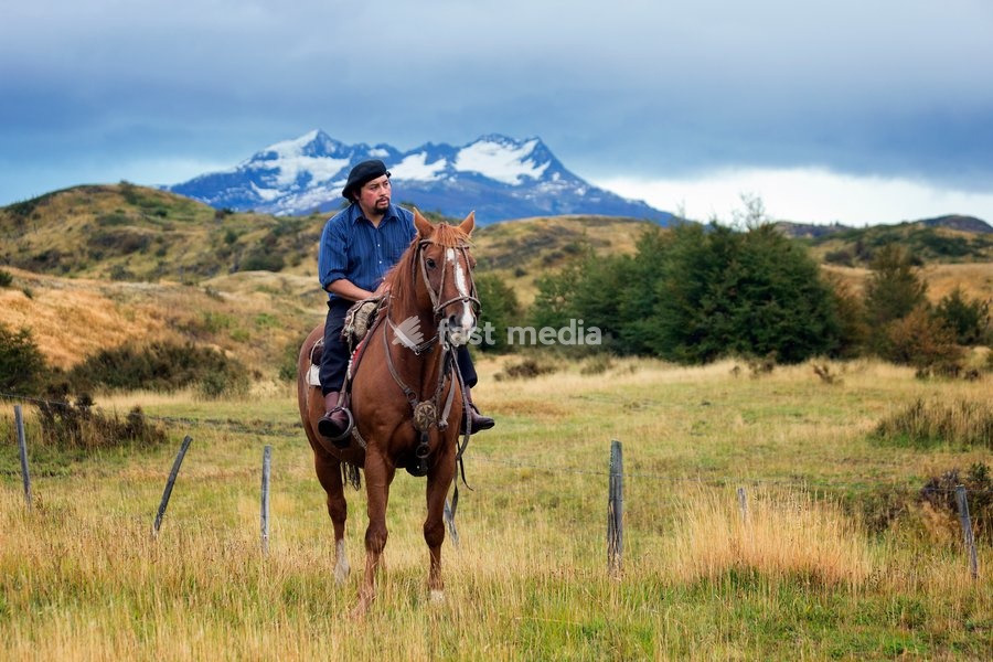 Gaucho riding his horse, Patagonia, Chile