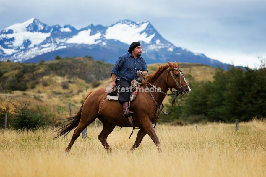 Gaucho riding his horse, Patagonia, Chile