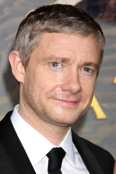 Martin Freeman at the "The Hobbit" Premiere at Dolby Theater on December 2, 2013 in Los Angeles, CA