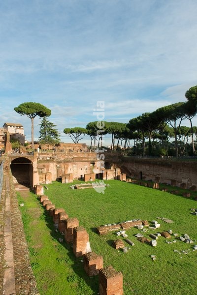 Imperial palace at Forum Romanum, Palatine Hill, Rome, Lazio, Italy, Europe