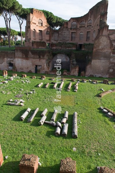 Imperial palace at Forum Romanum, Palatine Hill, Rome, Lazio, Italy, Europe
