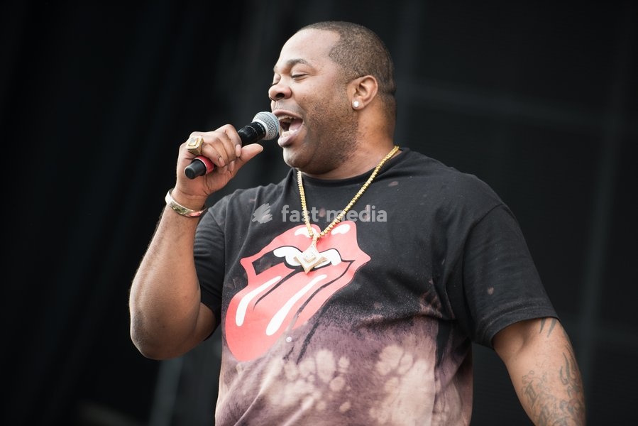 WILD LIFE Festival 2016 at the Brighton City Airport, Shoreham by Sea, Saturday 11th June 2016. Pictured: Busta Rhymes (Trevor George Smith, Jr.)