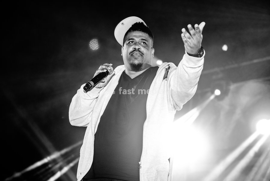 WILD LIFE Festival 2016 at the Brighton City Airport, Shoreham by Sea, Saturday 11th June 2016. Pictured: De La Soul Band Members include: Posdnuos (Kelvin_Mercer) Dave (David_Jude_Jolicoeur) Maseo (Vincent_Mason)