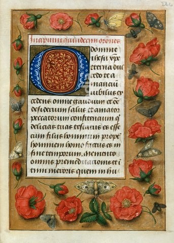 Red roses, [Whole folio] Decorated initial. Borders of tromps l'oeil decoration with Red roses; moths and butterflies. Image taken from Hastings Hours. Originally published / produced in S. Netherlands [Bruges or Ghent]; circa 1480. S. Netherlands [Bruges or Ghent]; circa 1480. From: Hastings…